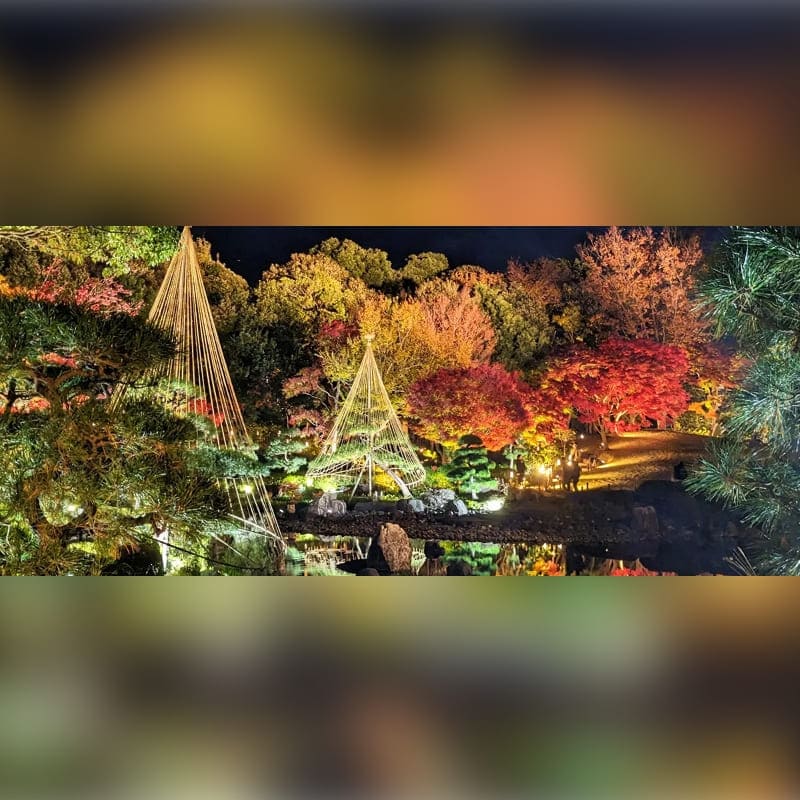 花畑記念庭園 秋のライトアップ2025 サムネイル