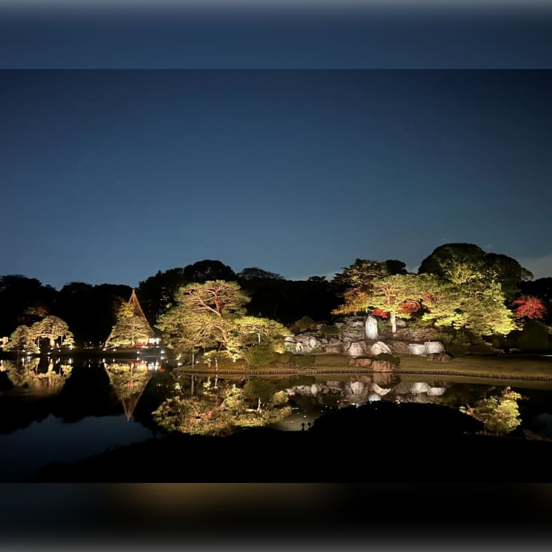 庭紅葉の六義園 夜間特別観賞 サムネイル